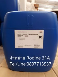 Rodine 31A